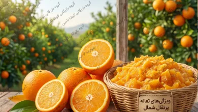 تفاله پرتقال
