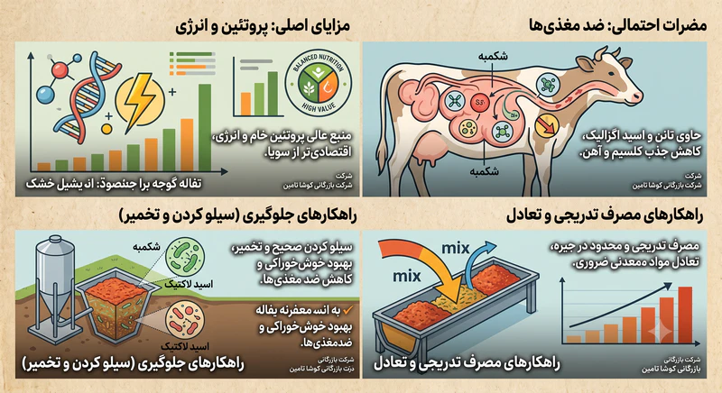 تفاله گوجه