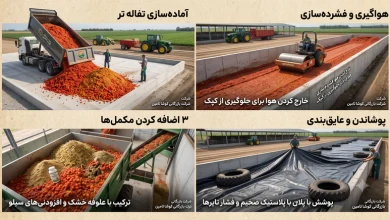 تفاله گوجه