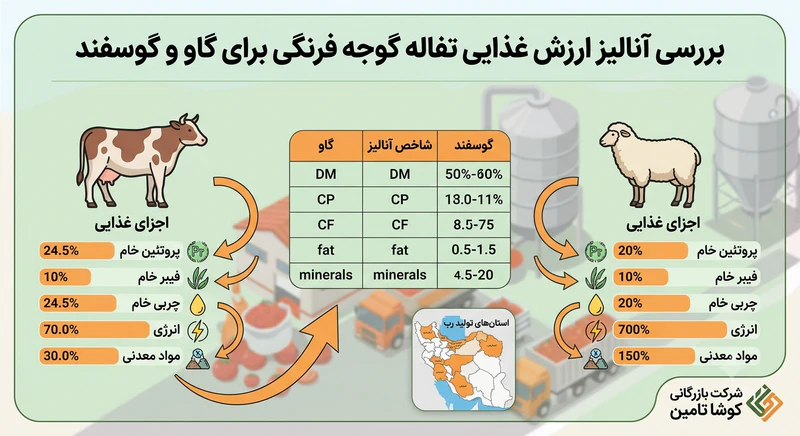 تفاله گوجه