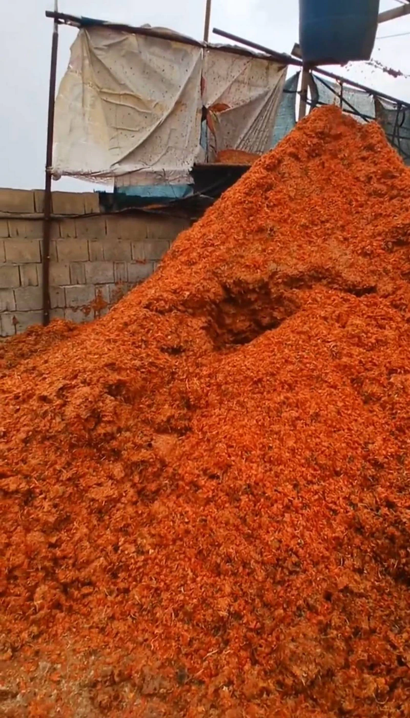 تفاله گوجه