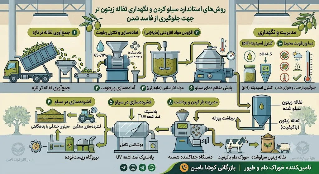 تفاله زیتون