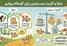 ضایعات سیب زمینی