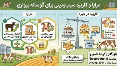 ضایعات سیب زمینی