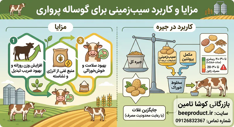 ضایعات سیب زمینی