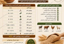 خرید سبوس گندم