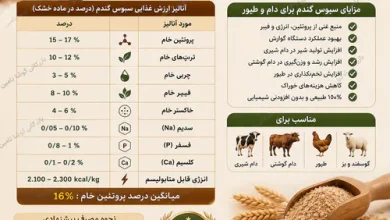 خرید سبوس گندم