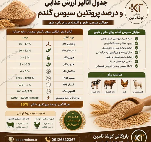 خرید سبوس گندم