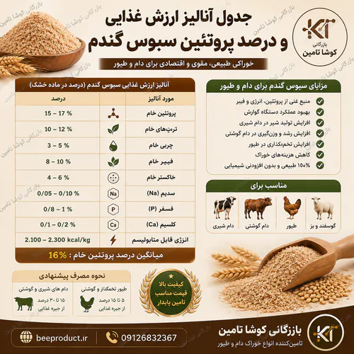 خرید سبوس گندم