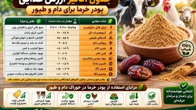 پودر خرما