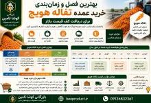 تفاله هویج
