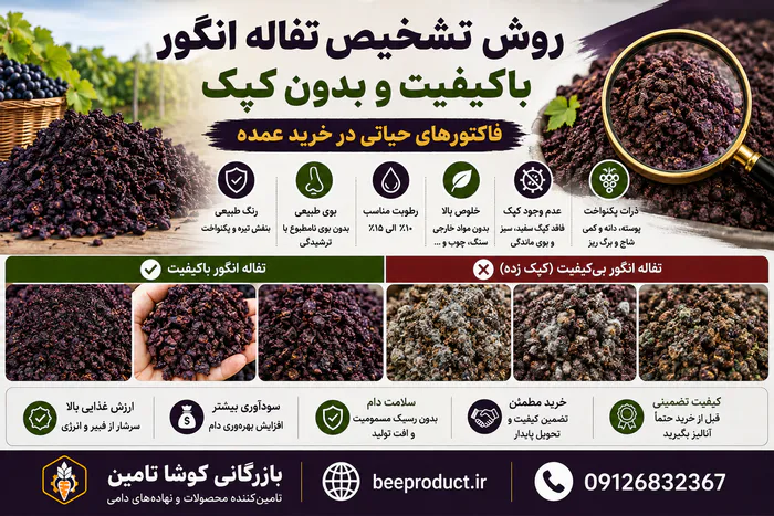 تفاله انگور