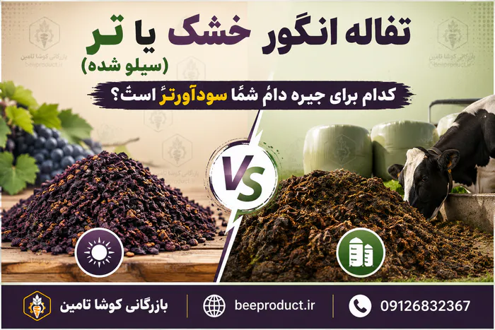 تفاله انگور