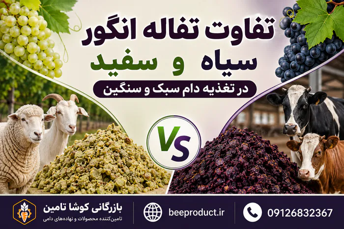 تفاله انگور
