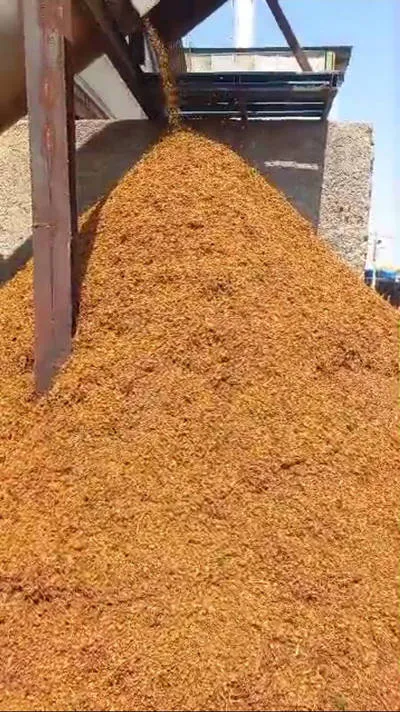 تفاله انگور