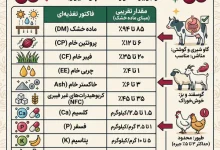 تفاله آلبالو