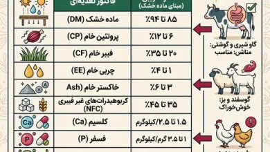 تفاله آلبالو