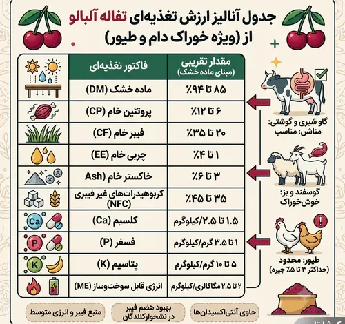 تفاله آلبالو