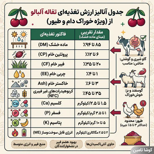 تفاله آلبالو