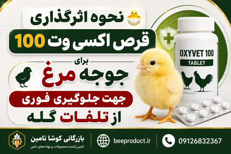 قرص اکسی وت برای پرندگان