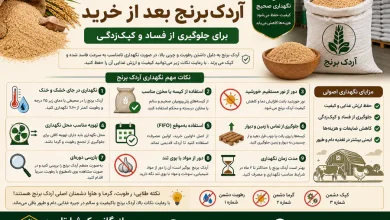 خرید آردک برنج