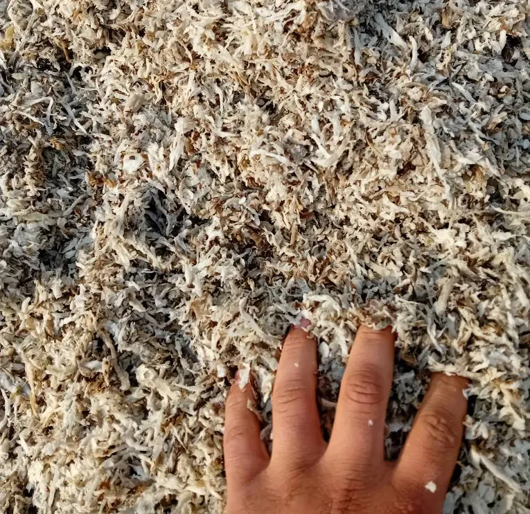 تفاله چغندر