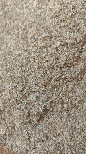 خرید سبوس گندم