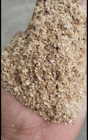 خرید سبوس گندم