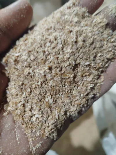 خرید سبوس گندم