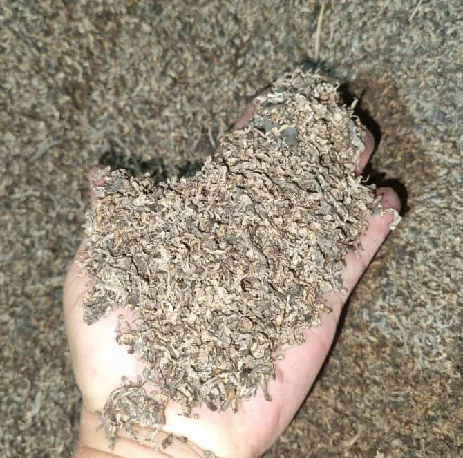 تفاله چغندر