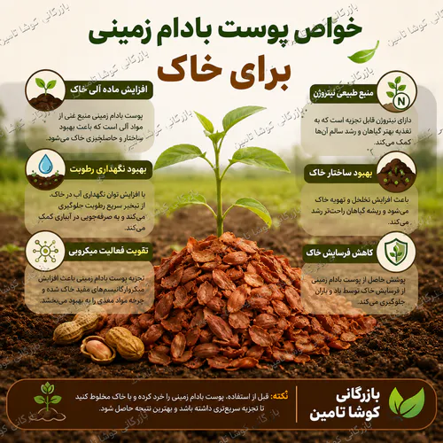 پوست بادام زمینی