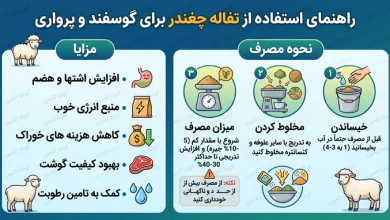 تفاله چغندر