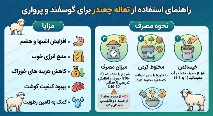 تفاله چغندر