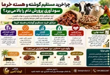 هسته خرما