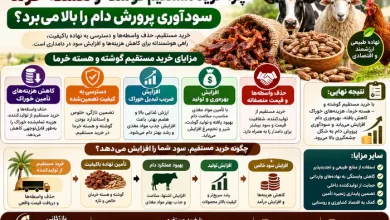 هسته خرما