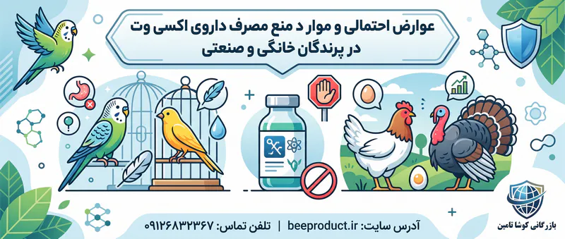 قرص اکسی وت برای پرندگان
