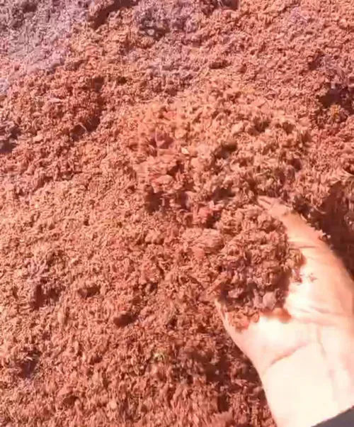 تفاله هویج