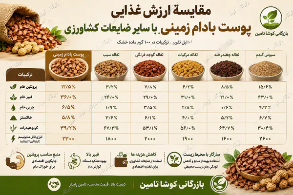 پوست بادام زمینی