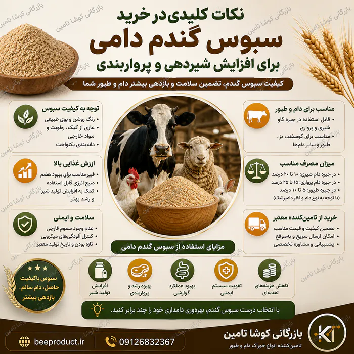 خرید سبوس گندم