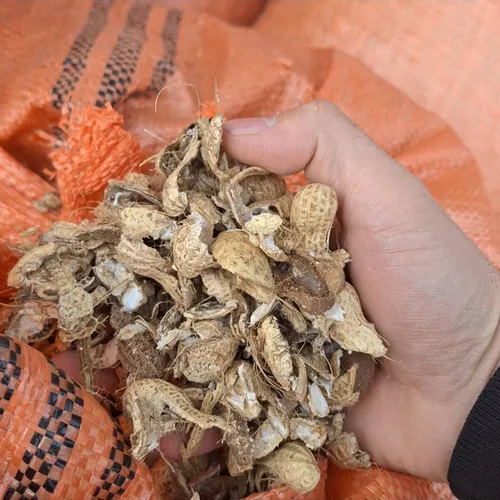 پوست بادام زمینی