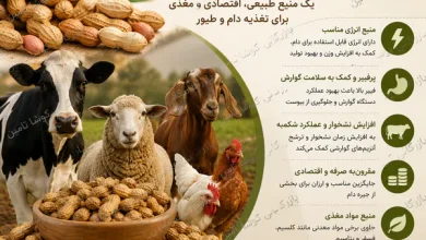 پوست بادام زمینی