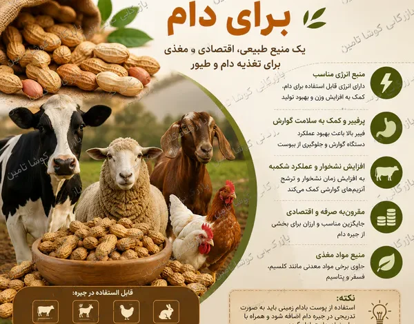 پوست بادام زمینی