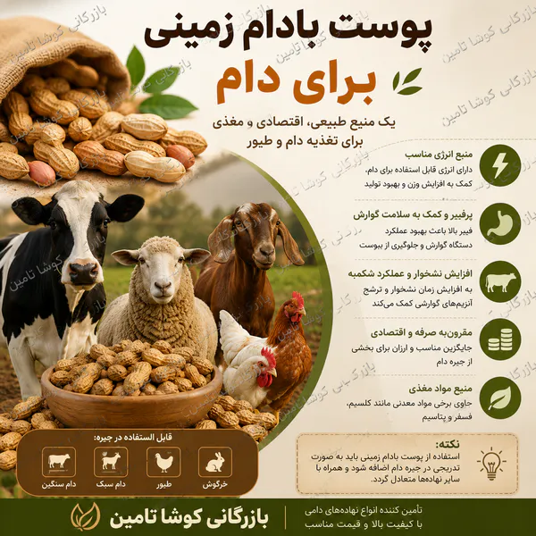 پوست بادام زمینی