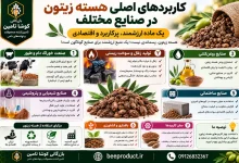 هسته زیتون