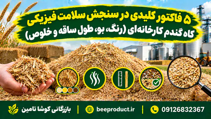 کاه گندم