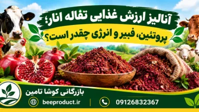 تفاله انار