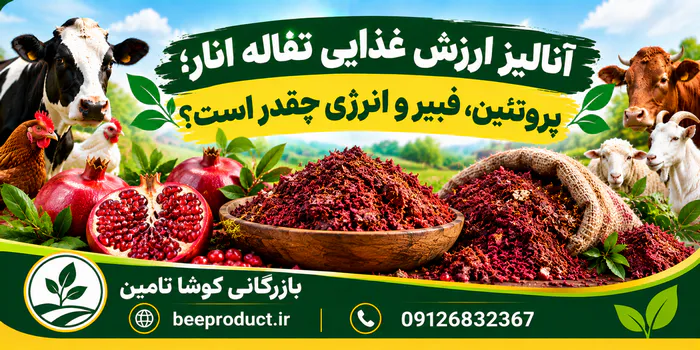 تفاله انار