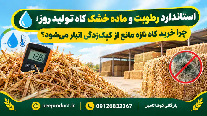 کاه گندم