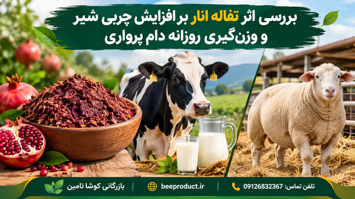 تفاله انار