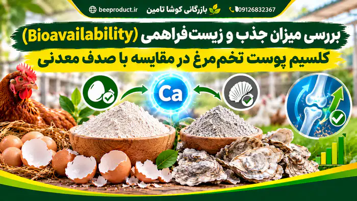 خرید پوست تخم مرغ